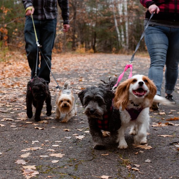 Meet Your Posher - Picture 1 of 1